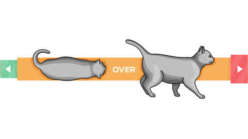 Wie Viel Sollte Eine Katze Wiegen Katzen-Gewicht: Wie viel soll eine Katze wiegen? | PURINA